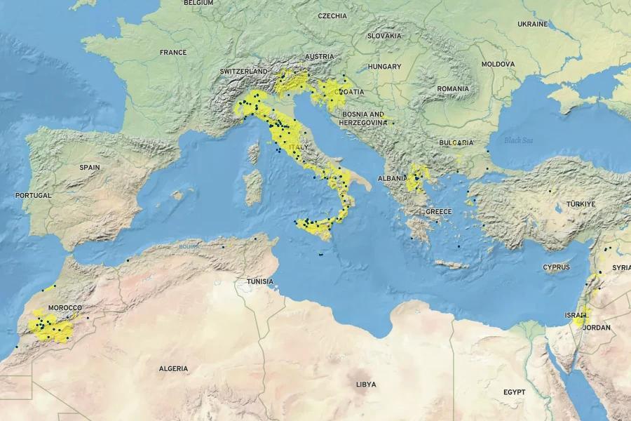 Brassica rapa Native Range
