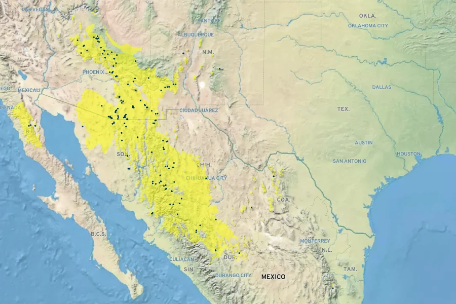 Brickellia betonicifolia Native Range