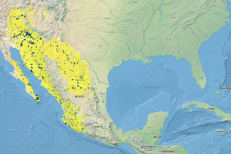 Brickellia coulteri Native Range