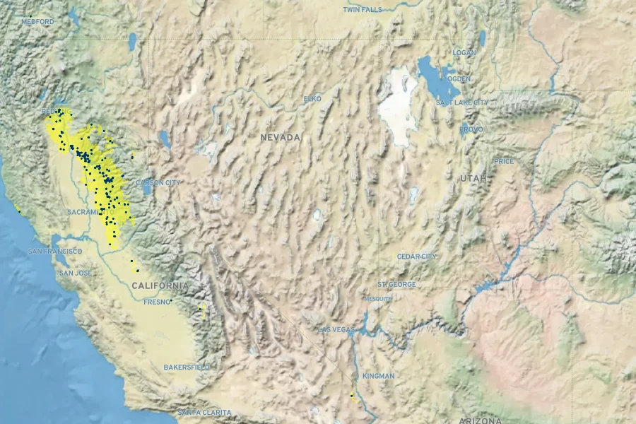 Brodiaea minor Native Range
