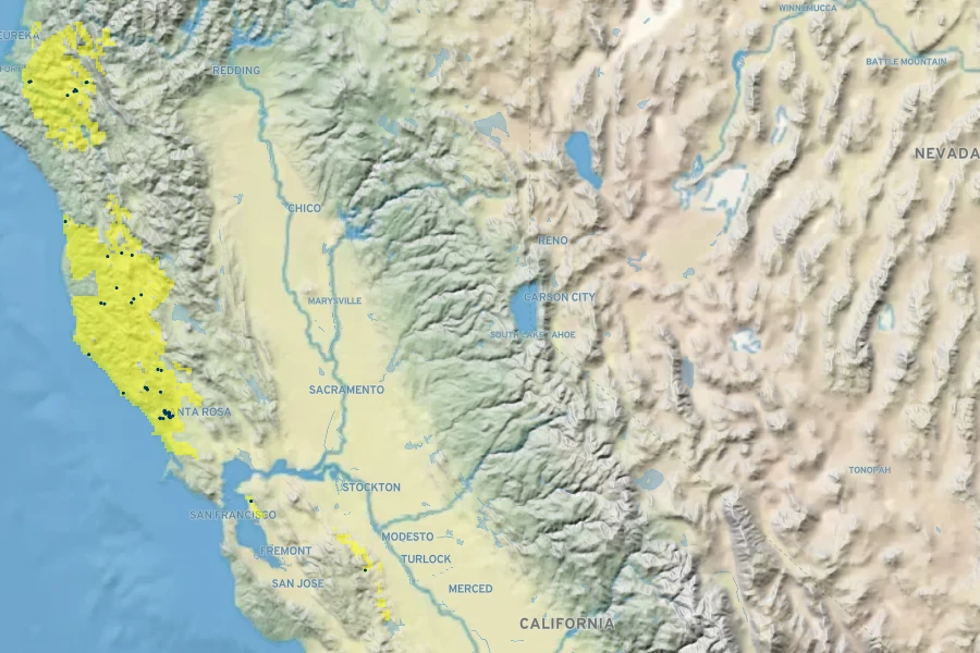 Brodiaea stellaris Native Range