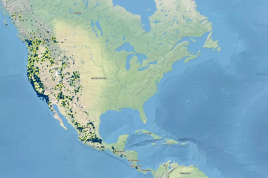 Bromus carinatus Native Range