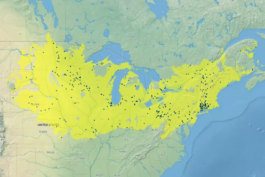Bromus latiglumis Native Range