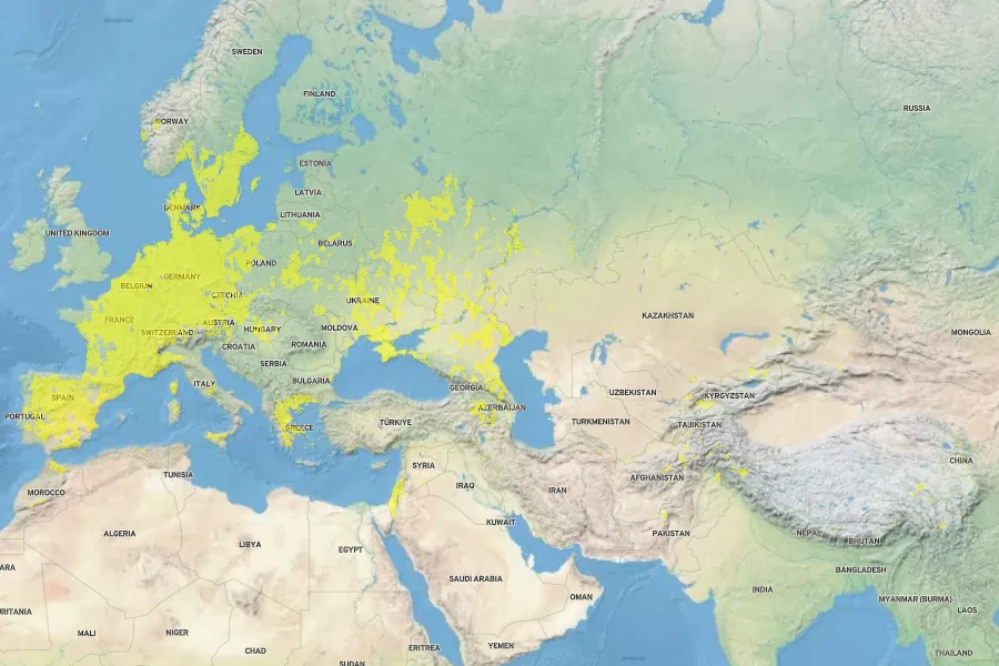 Bromus tectorum Native Range