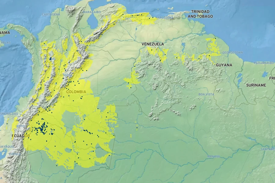 Brownea grandiceps Native Range