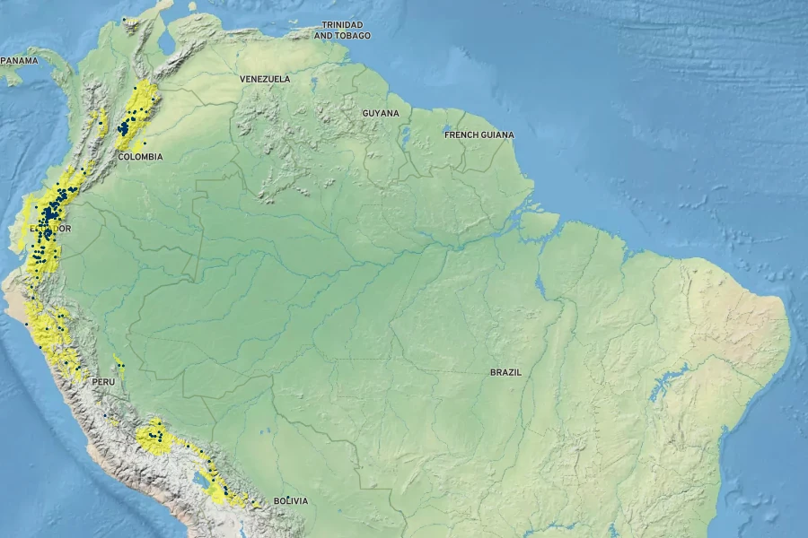 Brugmansia sanguinea Native Range