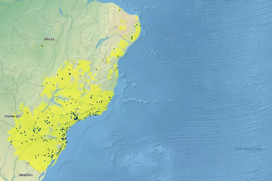 Brugmansia suaveolens Native Range