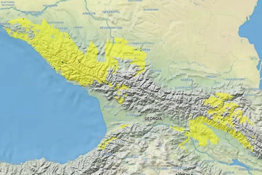 Brunnera macrophylla Native Range