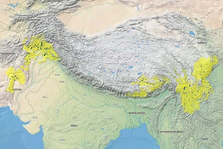 Buddleja crispa Native Range