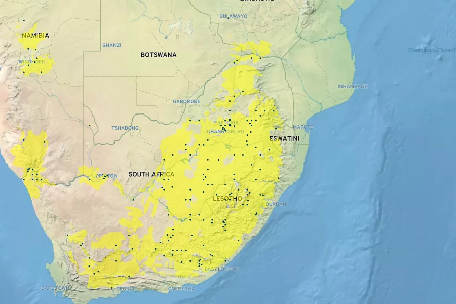 Buddleja virgata Native Range