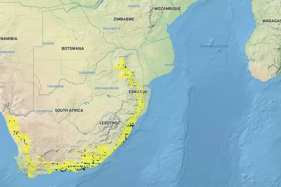 Bulbine latifolia Native Range