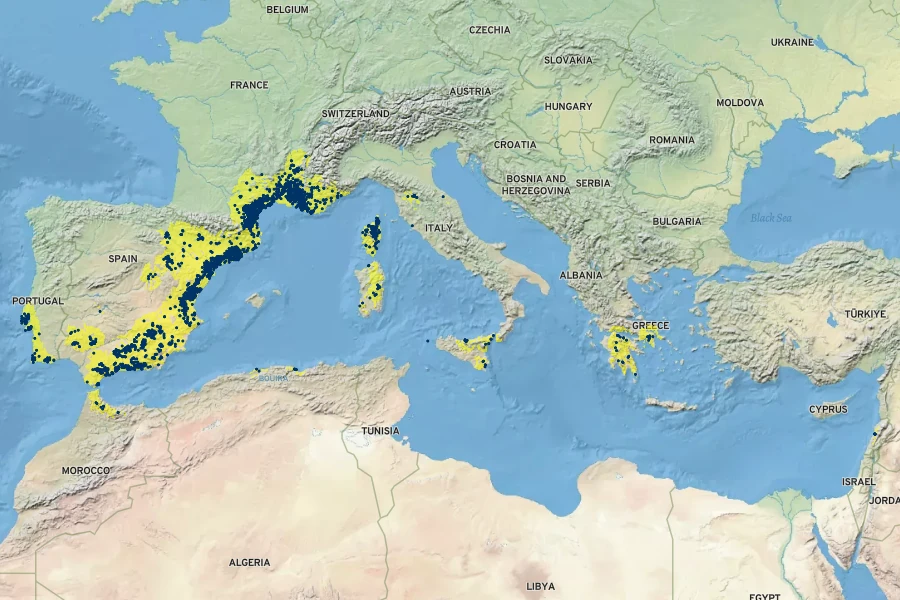 Bupleurum fruticosum Native Range