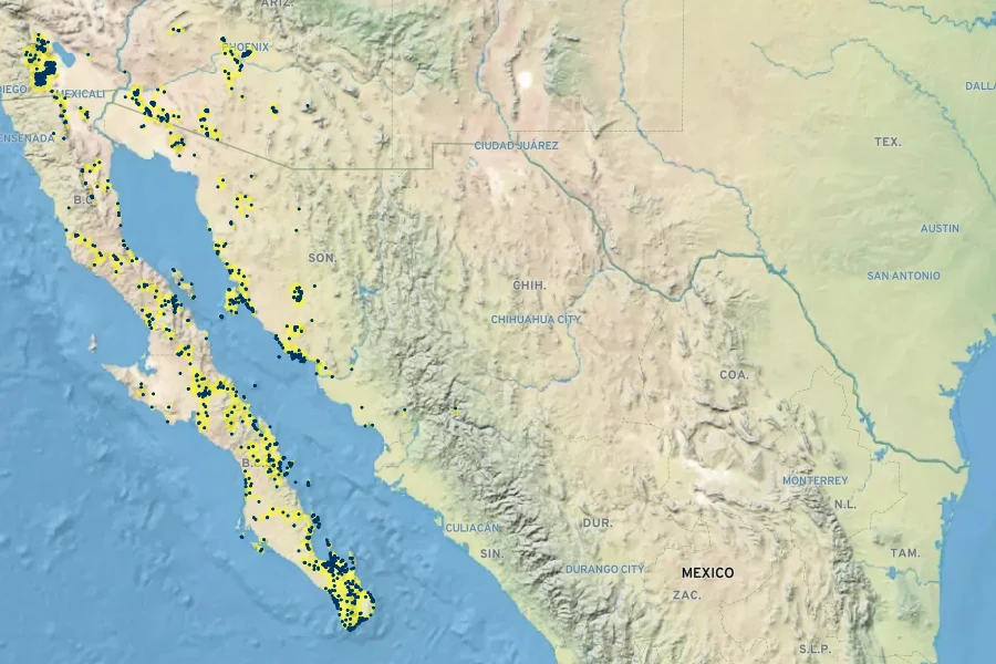 Bursera microphylla Native Range