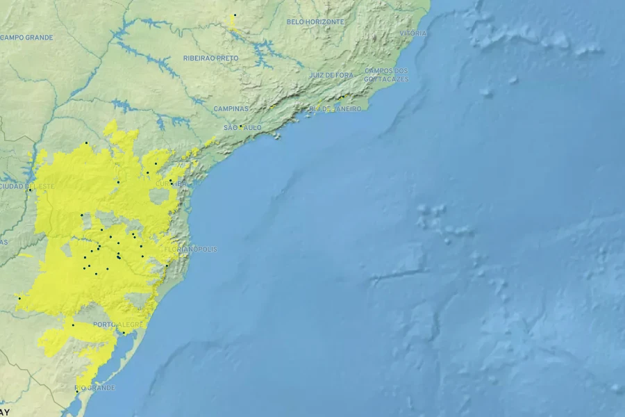 Butia eriospatha Native Range