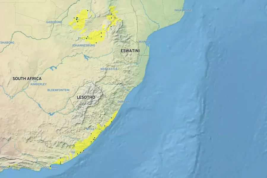 Buxus macowanii Native Range