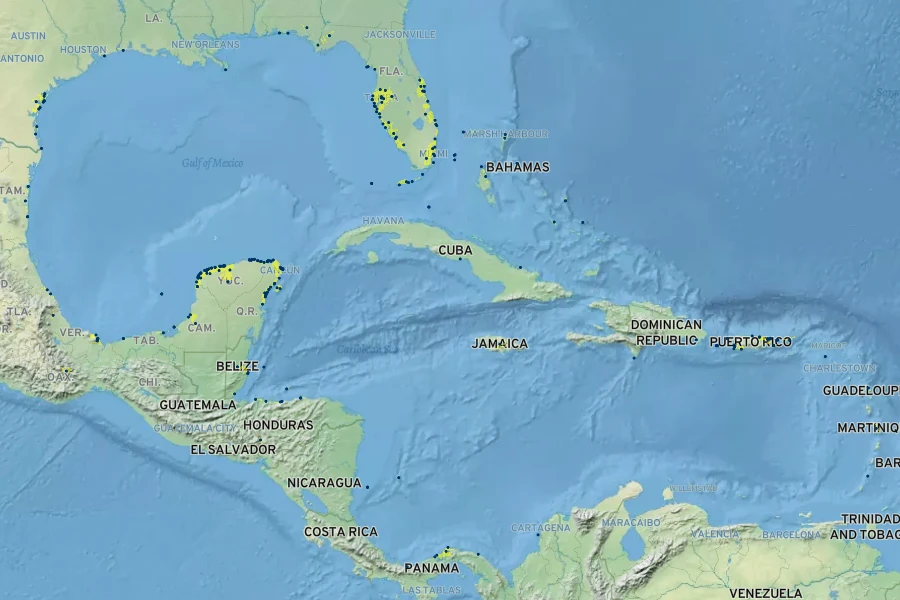 Cakile lanceolata Native Range