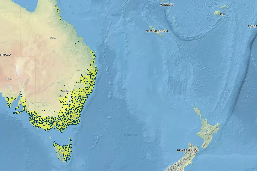Caladenia carnea Native Range