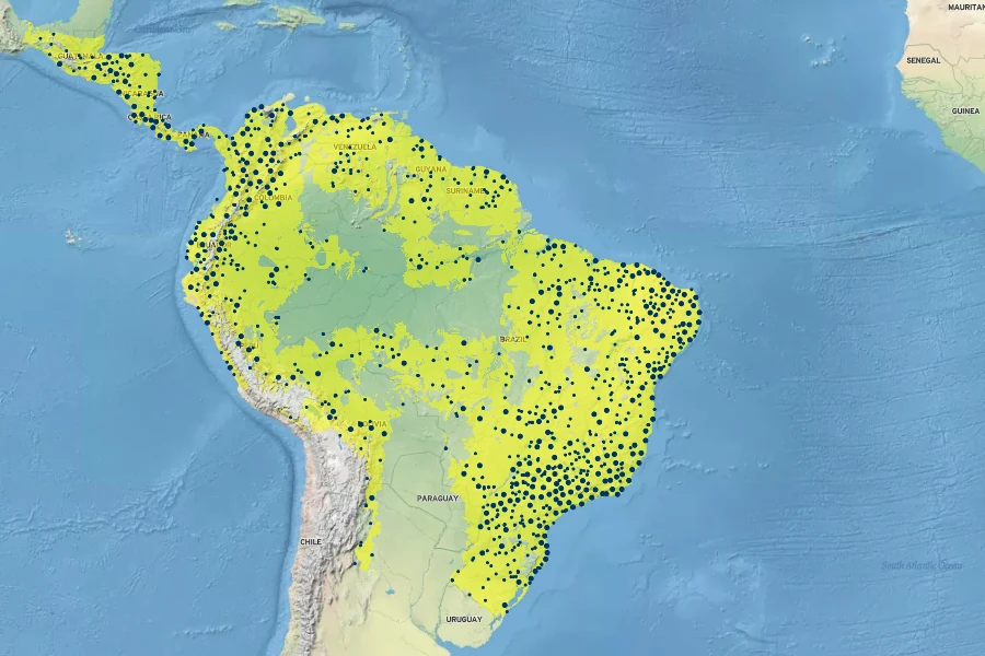 Caladium bicolor Native Range