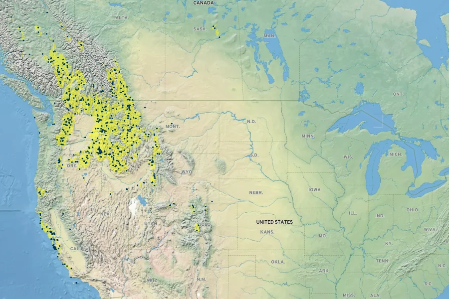 Calamagrostis rubescens Native Range