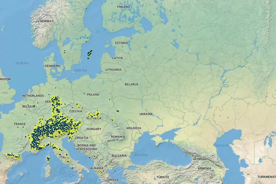 Calamagrostis varia Native Range