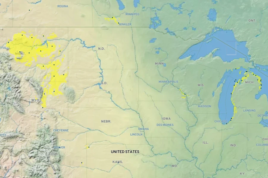 Calamovilfa longifolia Native Range