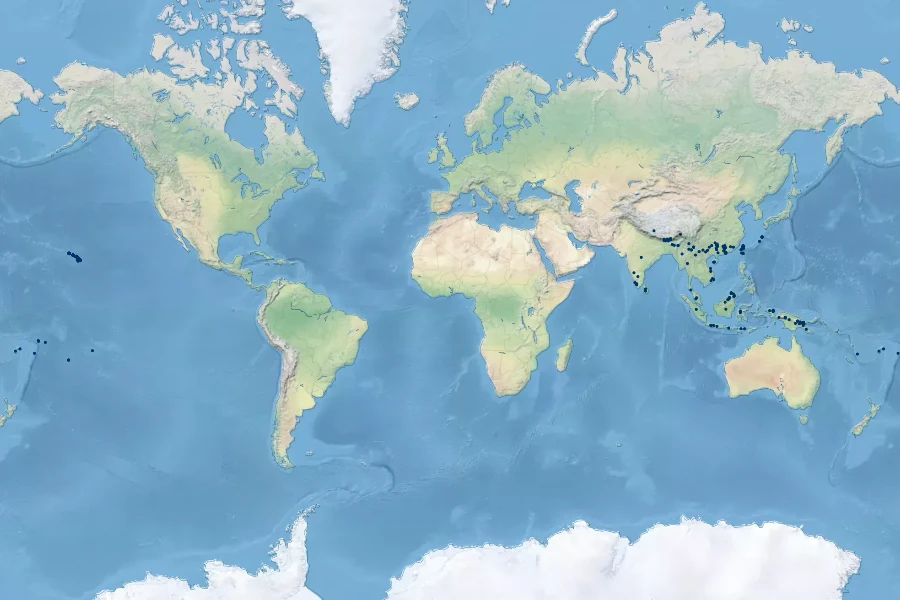 Calanthe tankervilleae Native Range