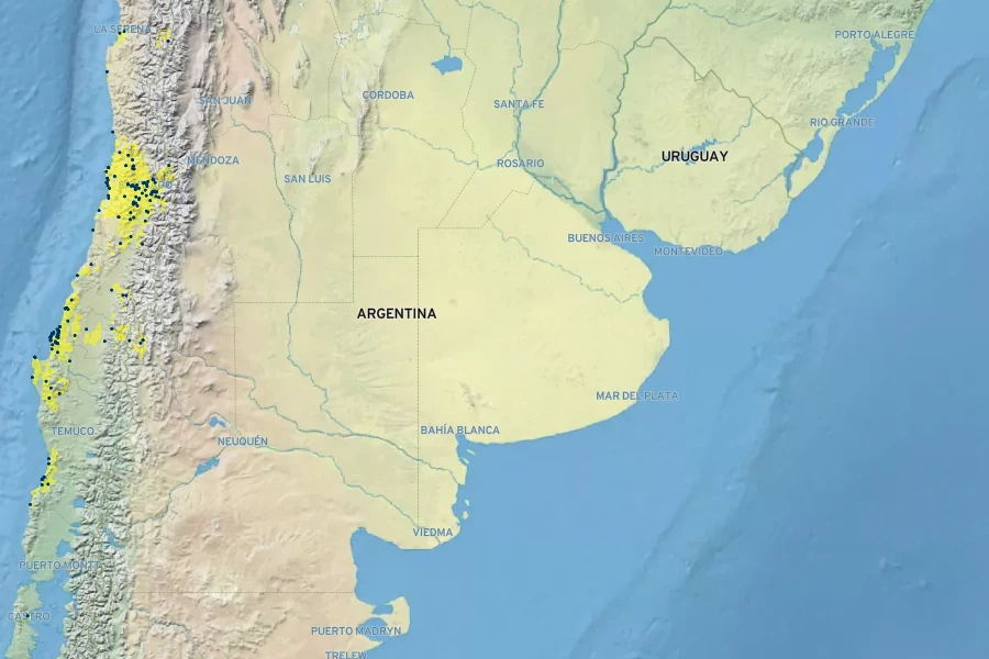 Calceolaria integrifolia Native Range