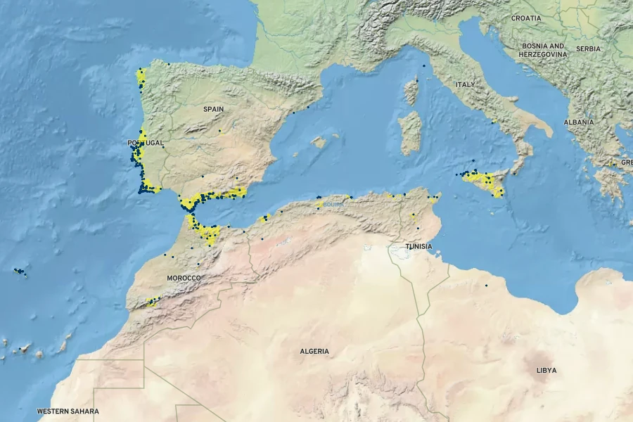 Calendula suffruticosa Native Range