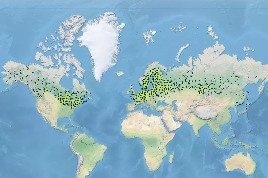 Calla palustris Native Range