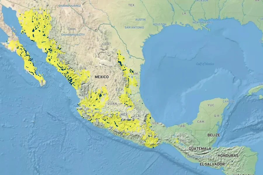 Callaeum macropterum Native Range