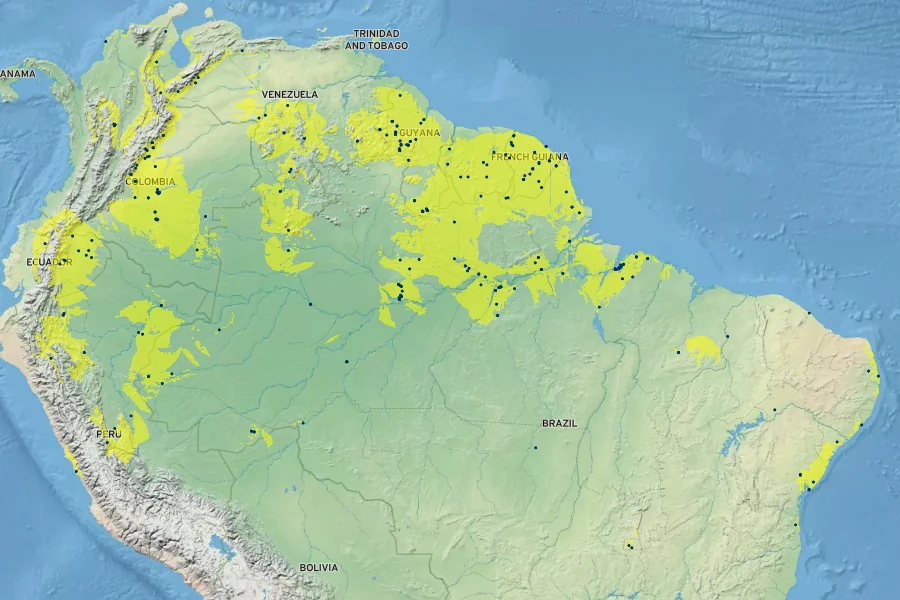 Calliandra surinamensis Native Range