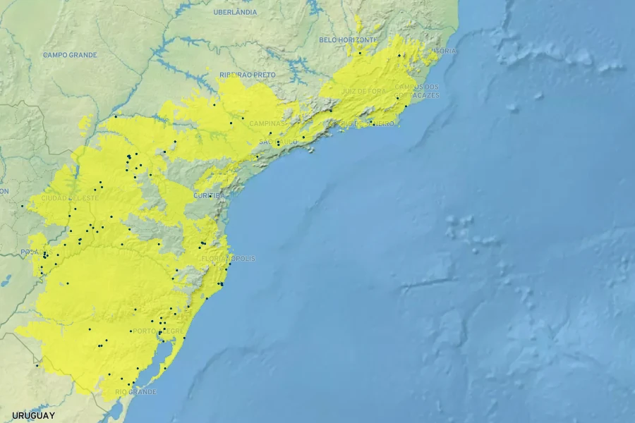 Calliandra tweedii Native Range