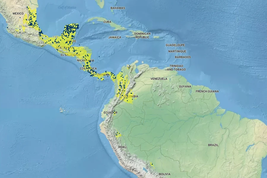 Callicarpa acuminata Native Range