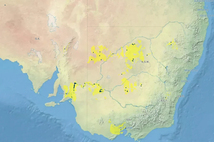 Callistemon brachyandrus Native Range