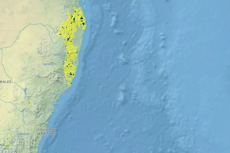 Callistemon comboynensis Native Range