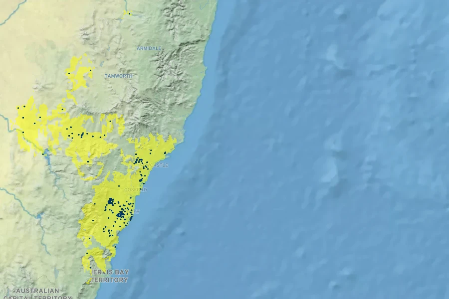 Callistemon pinifolius Native Range