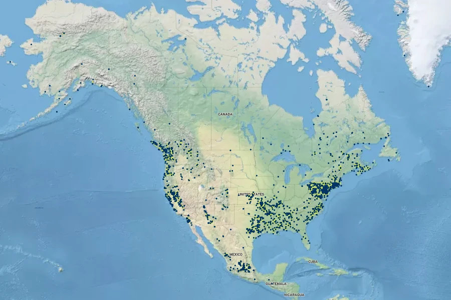 Callitriche heterophylla Native Range