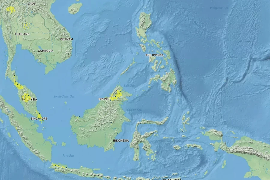Callostylis pulchella Native Range