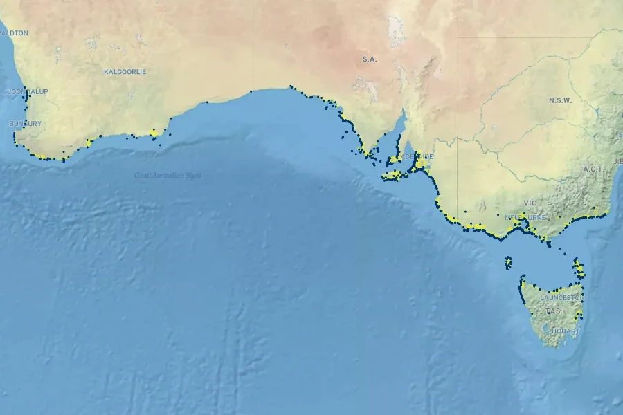 Calocephalus brownii Native Range