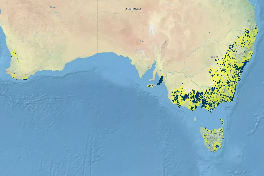 Calochilus robertsonii Native Range