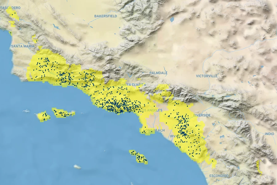 Calochortus catalinae Native Range