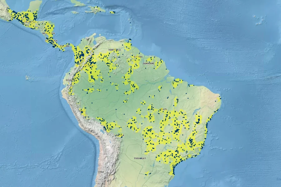 Calophyllum brasiliense Native Range