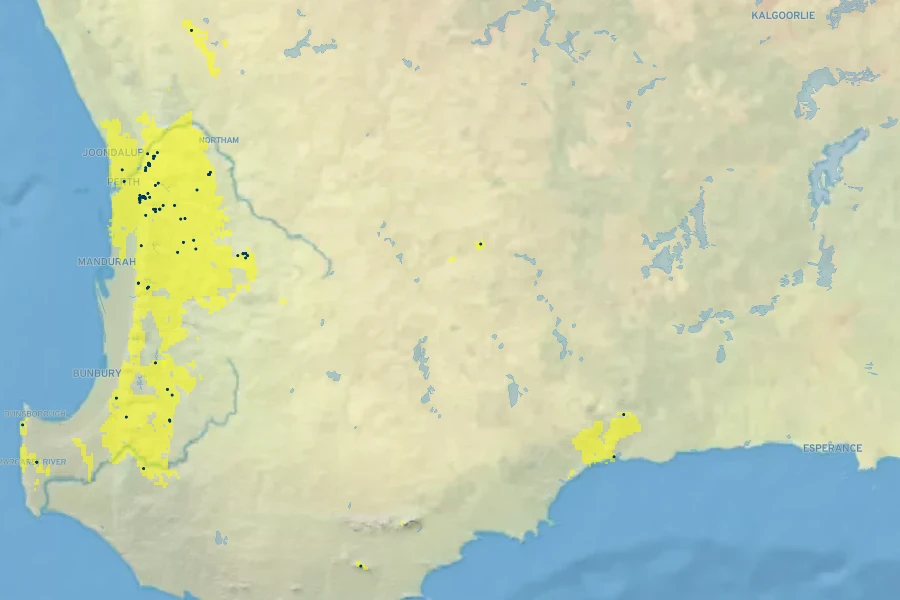 Calothamnus rupestris Native Range