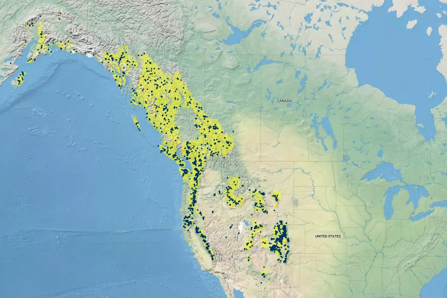 Caltha leptosepala Native Range