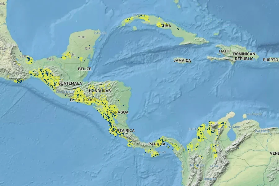 Calycophyllum candidissimum Native Range