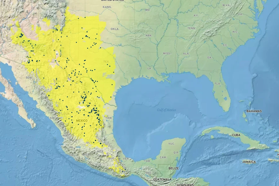 Calylophus hartwegii Native Range