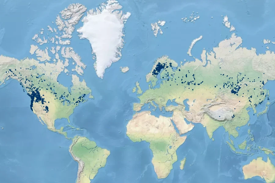 Calypso bulbosa Native Range