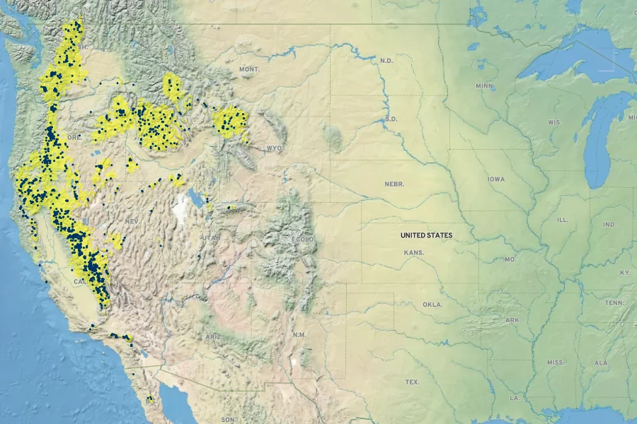Calyptridium umbellatum Native Range