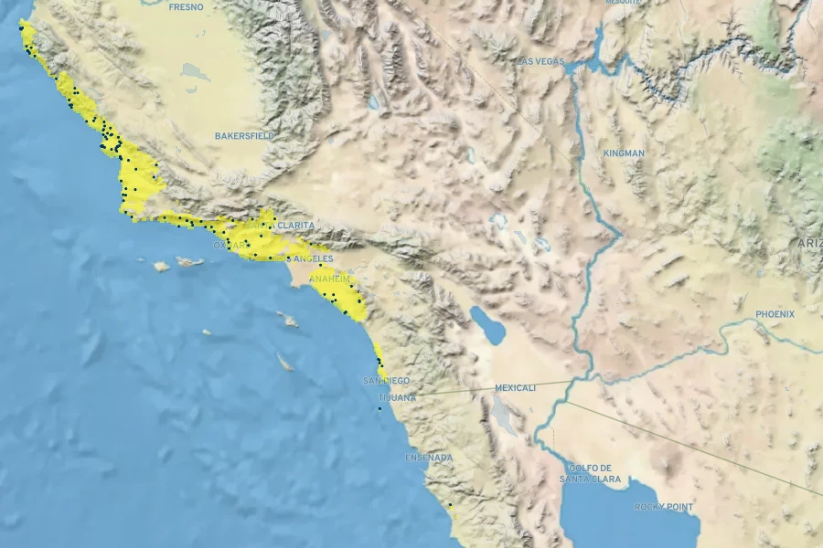 Calystegia macrostegia subsp. cyclostegia Native Range