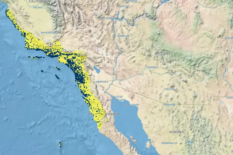 Calystegia macrostegia Native Range